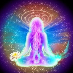 Meet your Posher, Saesha